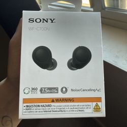 SONY Earphones 