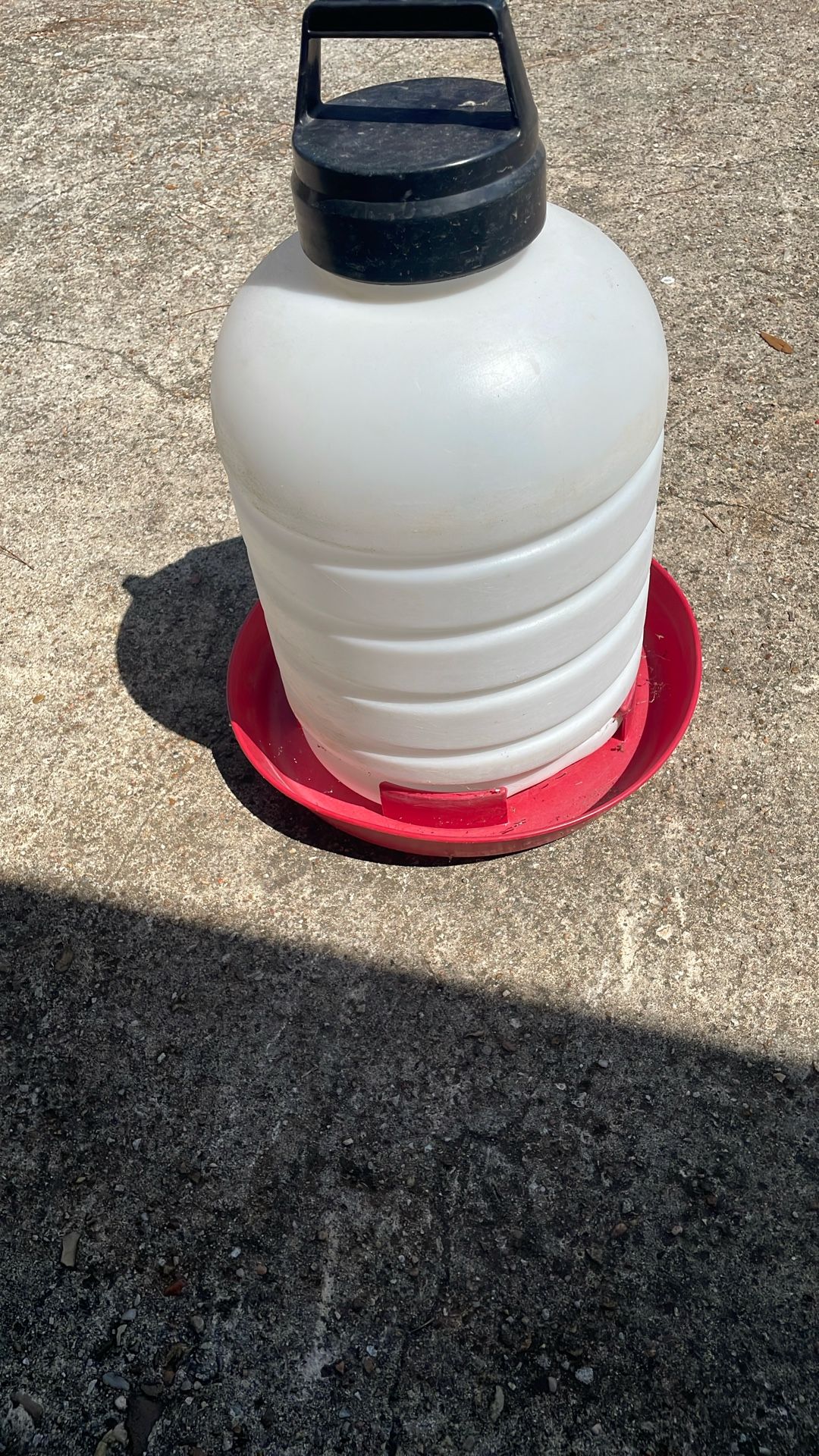 Chicken 🐔 Watered