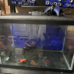 20 GALLON FISH TANK 🐠🐟