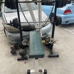 Work Out Bench
