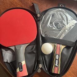 2 Good Paddles To Start Ping Pong