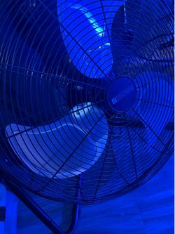 Fan