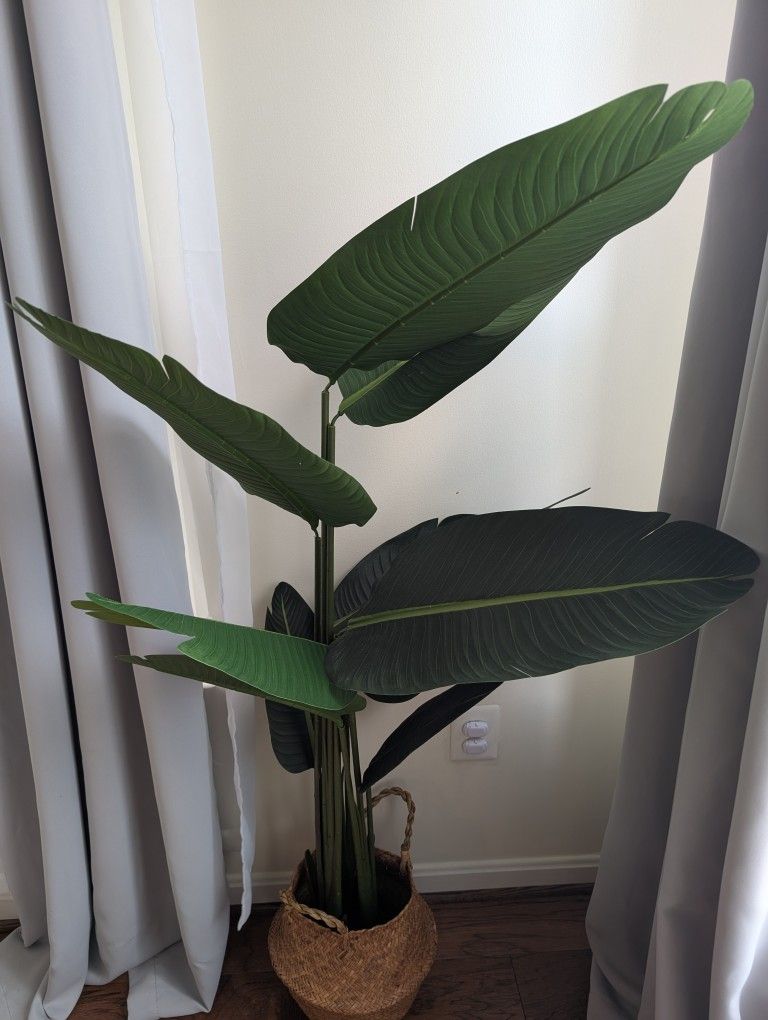 Artificial Bird Of Paradise Plant