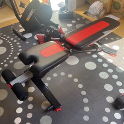 Bowflex Bench 