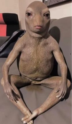 A friend