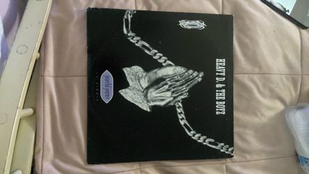 Heavy D & The Boyz Record