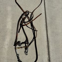 Bridle
