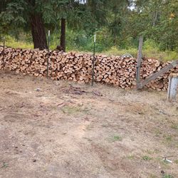 Firewood