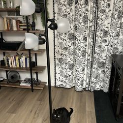Black Track Tree Floor Lamp 