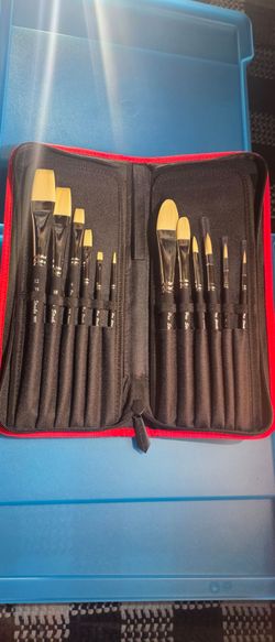 Pro Stroke 12 Set Of Paint Bruhses (NEW)