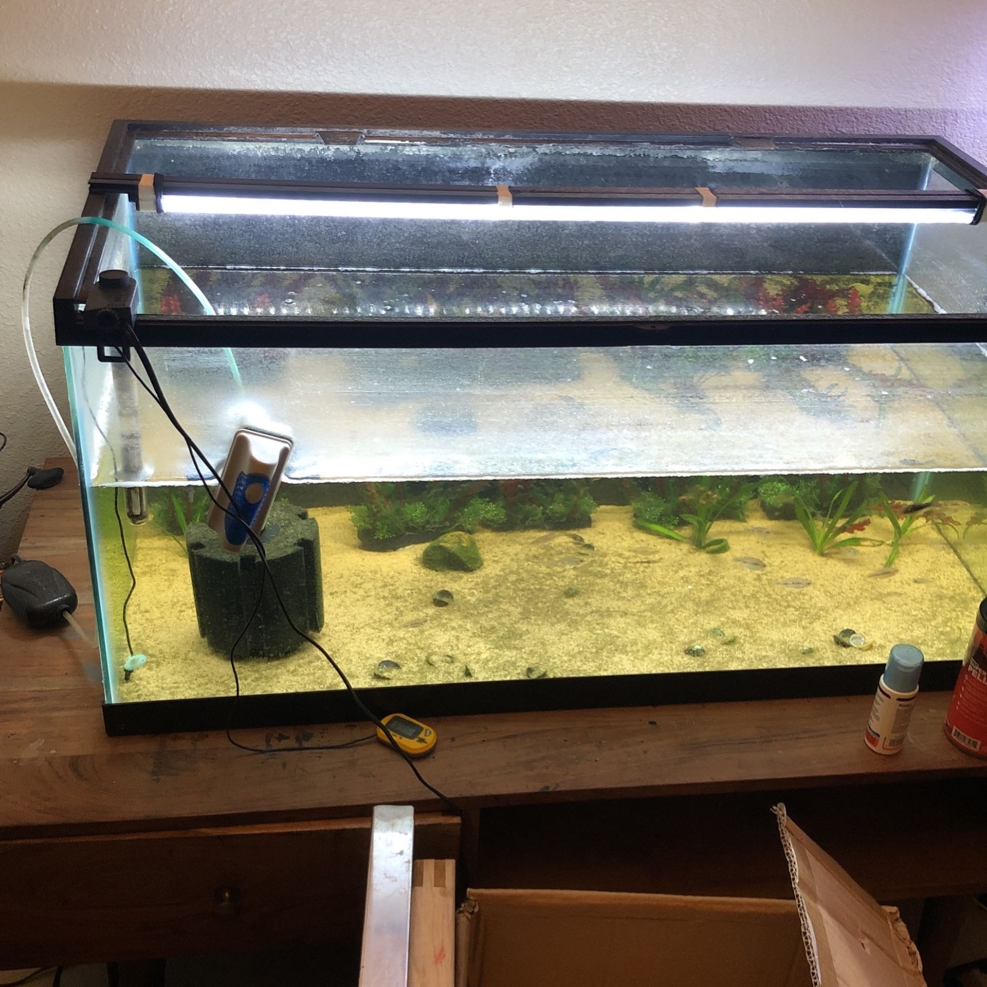 40 Gallon Breeeder Fish Tank