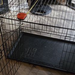 Large Kennel