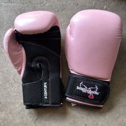 Youth Boxing Gloves 