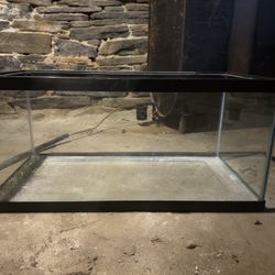 10 Gallon Tank 