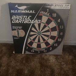 Bristle Dartboard $20