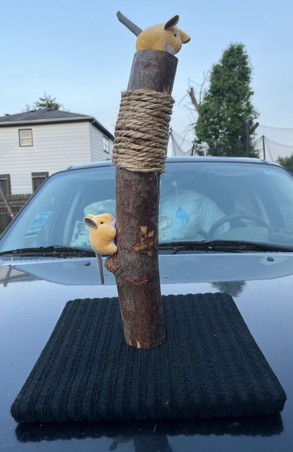 Cat Scratcher (READ DESCRIPTION)