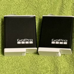 Enduro Rechargeable Batteries