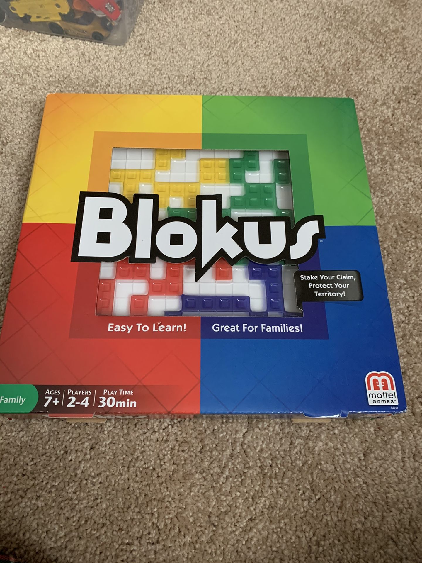 Blokus family game