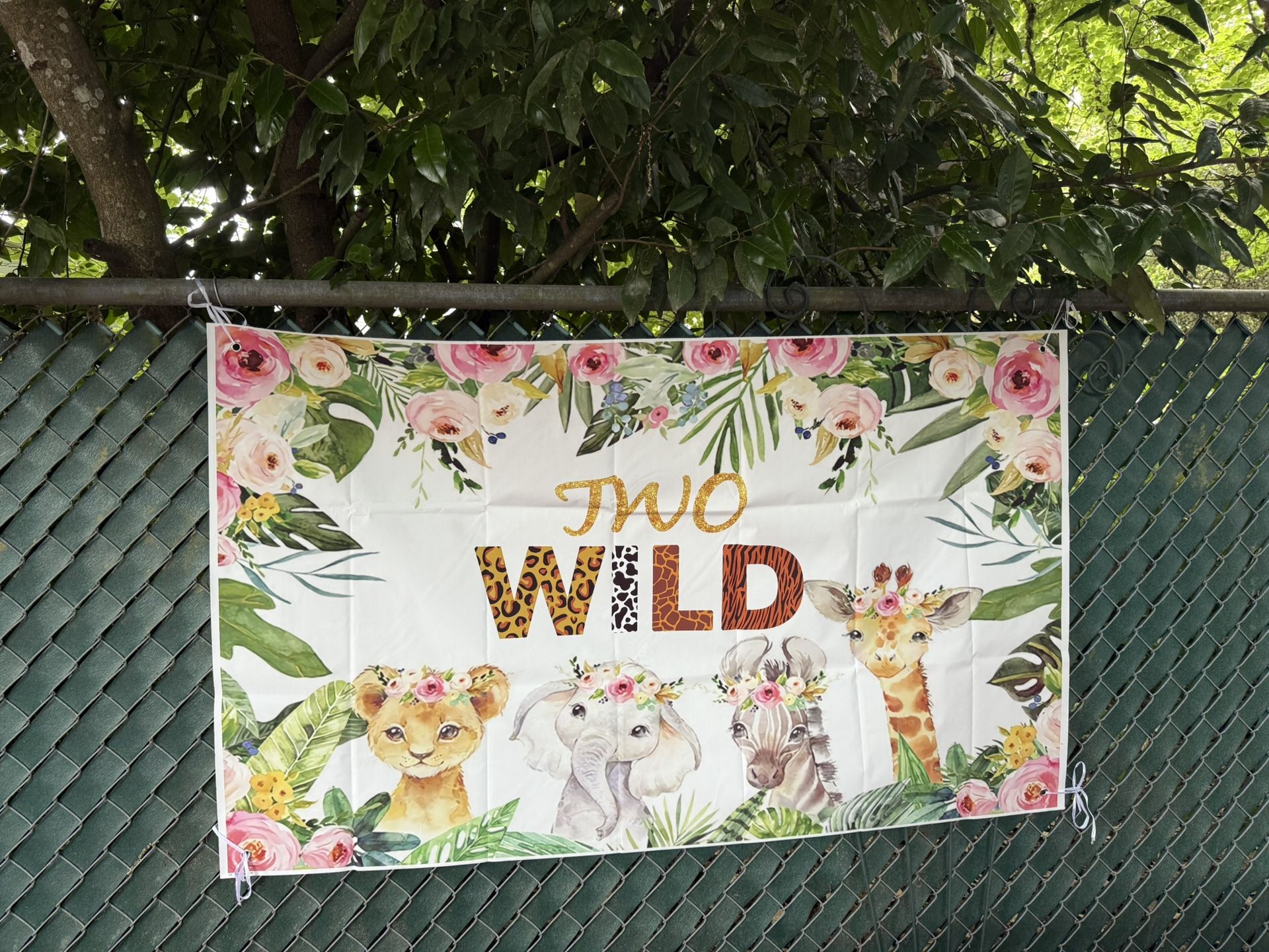 Left Over Party Decor For Safari Birthday