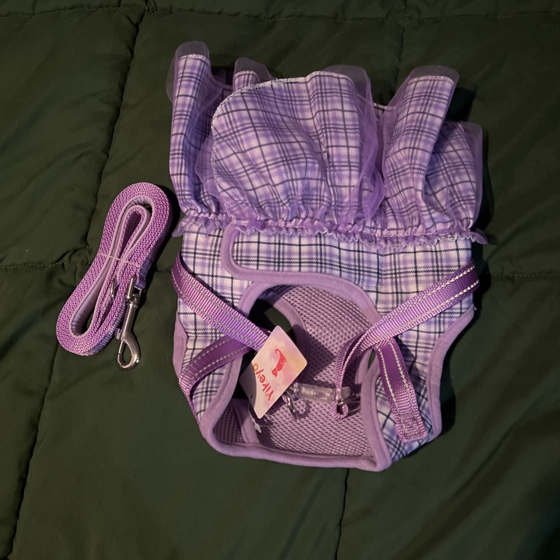Dog Clothes With Matching Leash