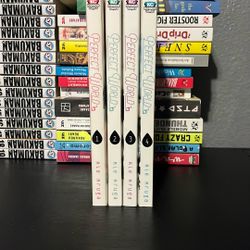 Manga - Perfect World 