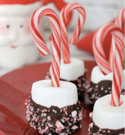 Hot cocoa candy cane mixers