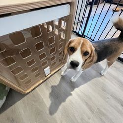 Small fable crate