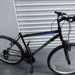 Adult Bike