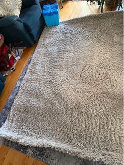 Shag area rug