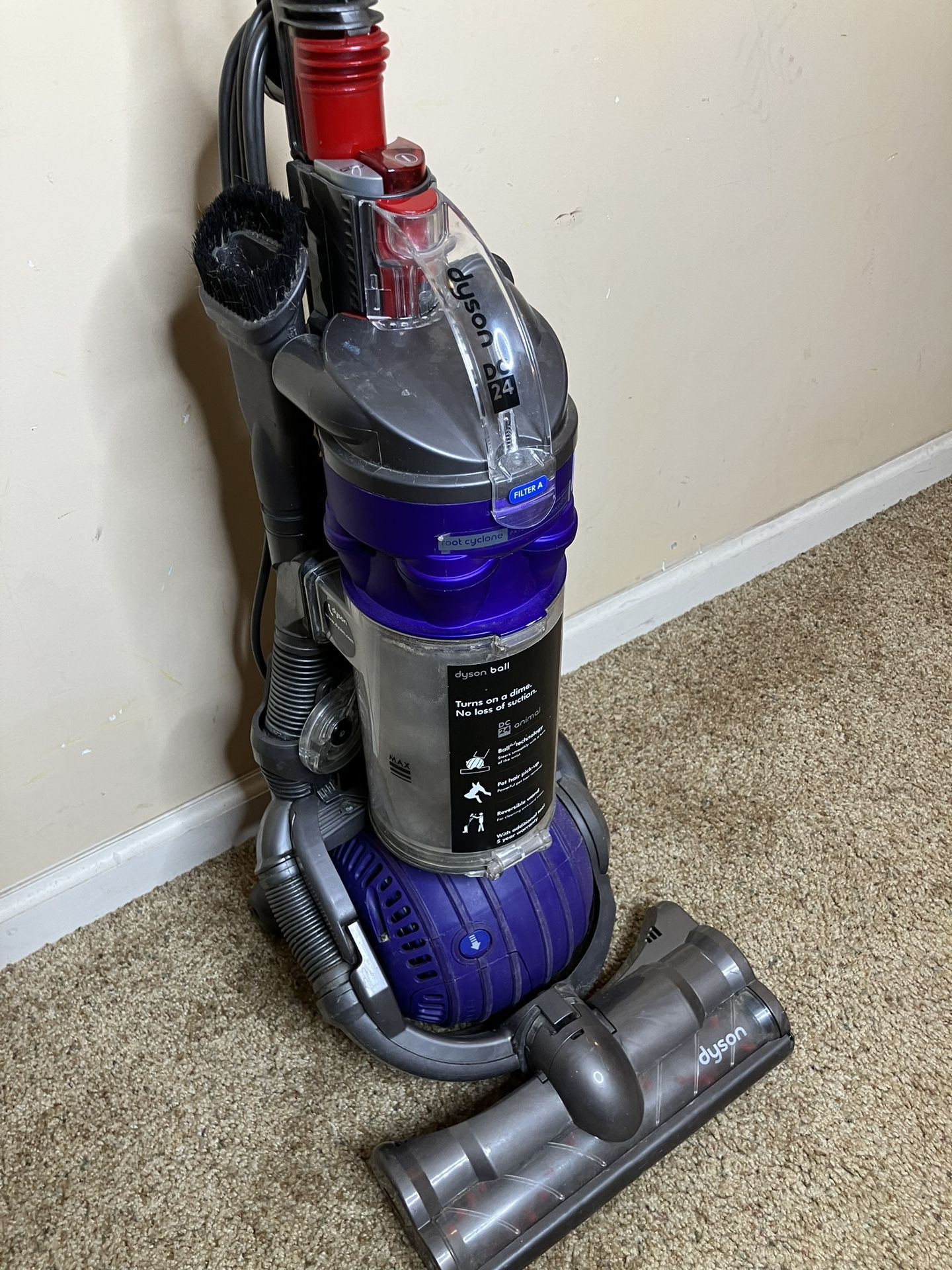 Dyson Animal Vacuum Completely Cleaned