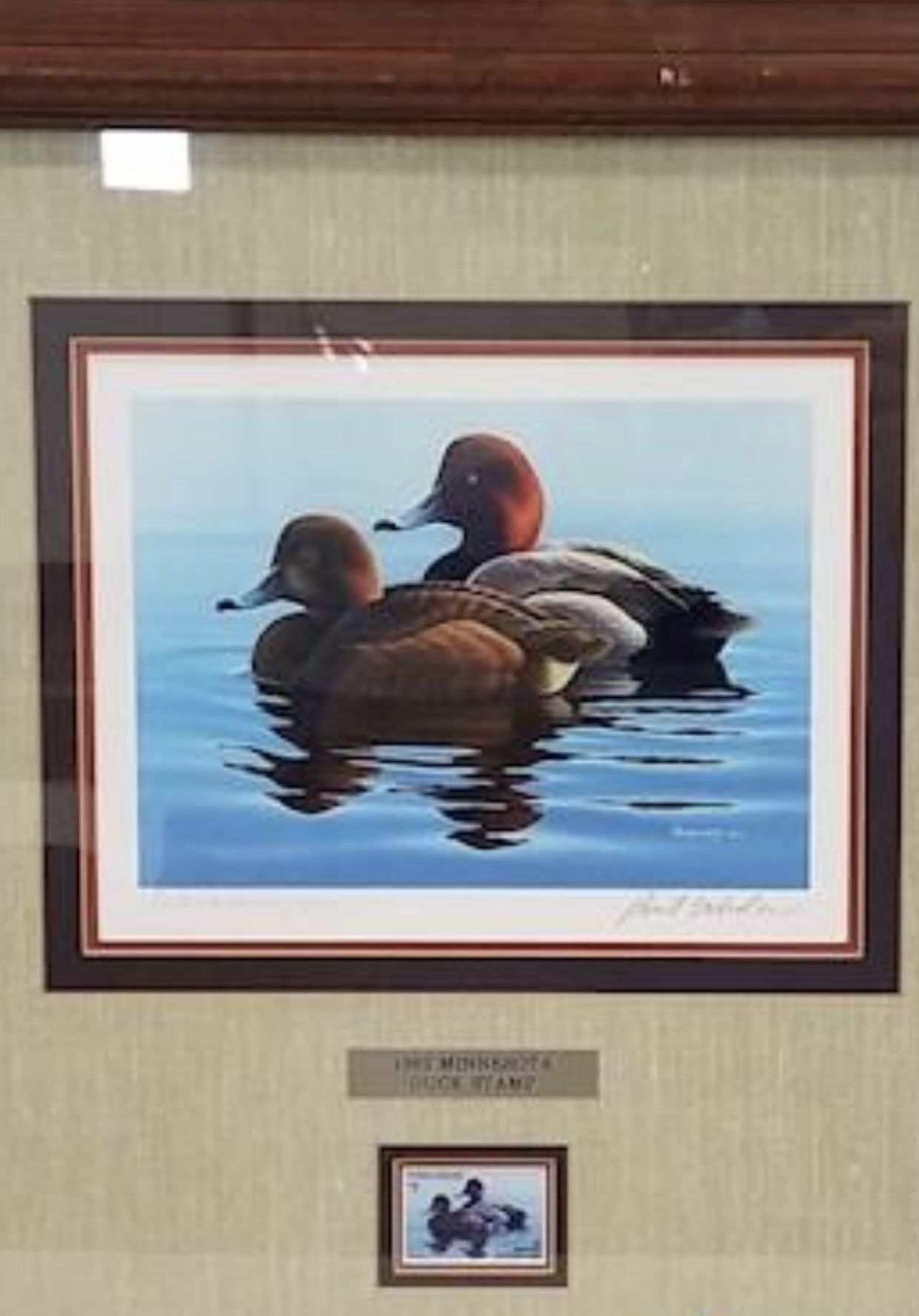 1982 Minnesota Duck Stamp Signed Artist Proof 4/500