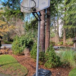 Adjustable & Portable Basketball Hoop