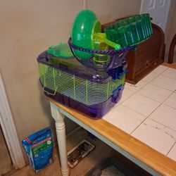 Hamster Curt,purple And Green, 2 Inches 