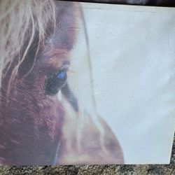 Horse Eye Portrait Canvas (24x30)