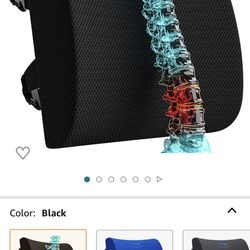 Everlasting Comfort Lumbar Support Pillow for Office Chair Back - Improve Posture While Sitting - Memory Foam Cushion Design for Computer Desk, Car, G