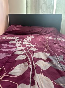 Queen Bed and mattress