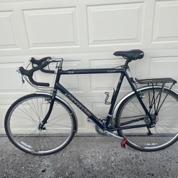 Rain / Commuter Bike