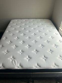 Queen mattress medium