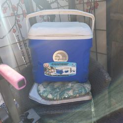 Igloo 30 Quart Ice Chest 