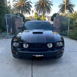 Mustang Gt