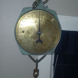 Salter Hanging Scale
