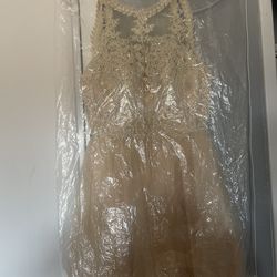 Champagne dress Damas dress