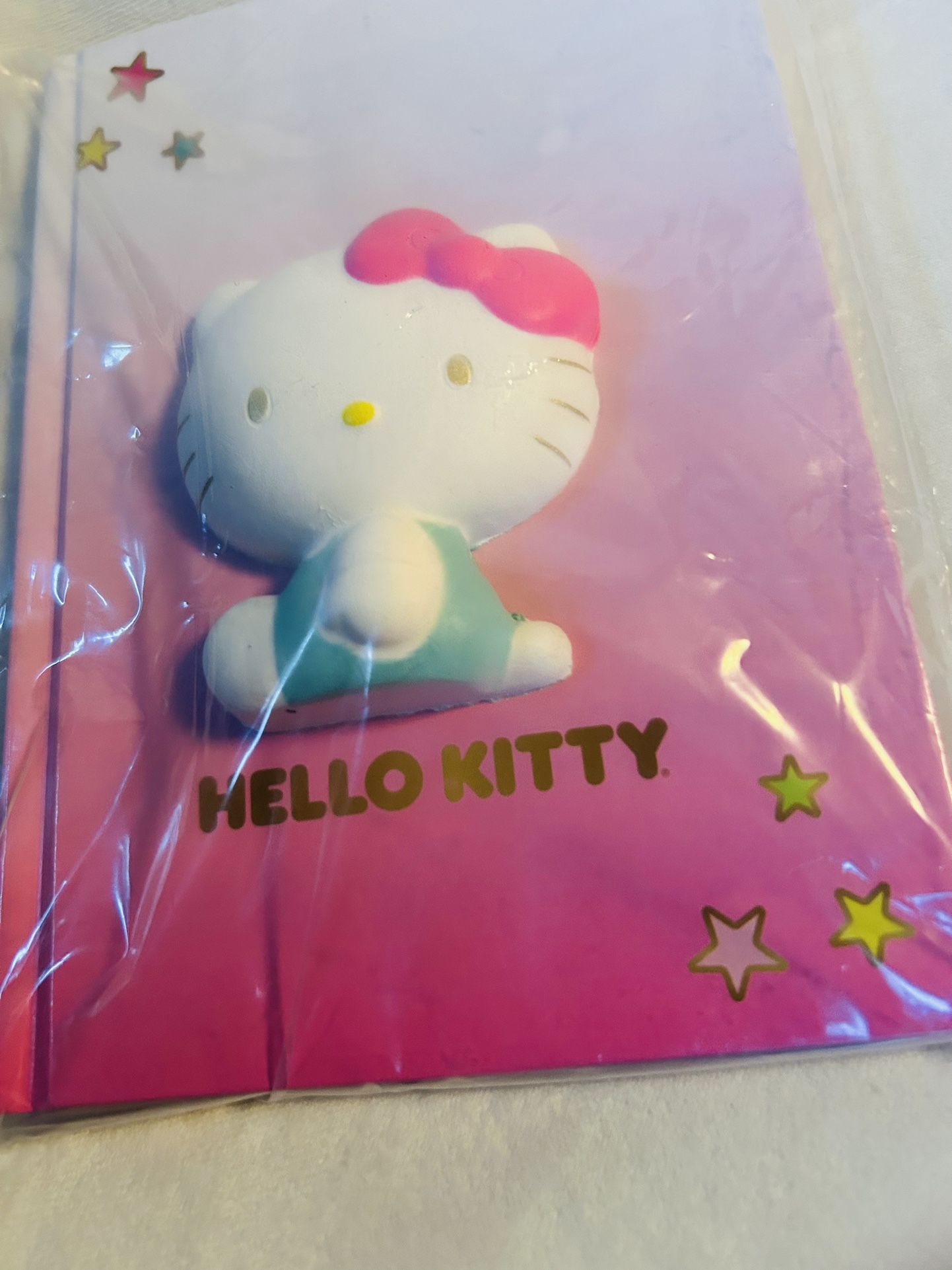 Hello Kitty Book With Miss Kitty On The Out Side Of Book Brand New Nice Christmas Gift