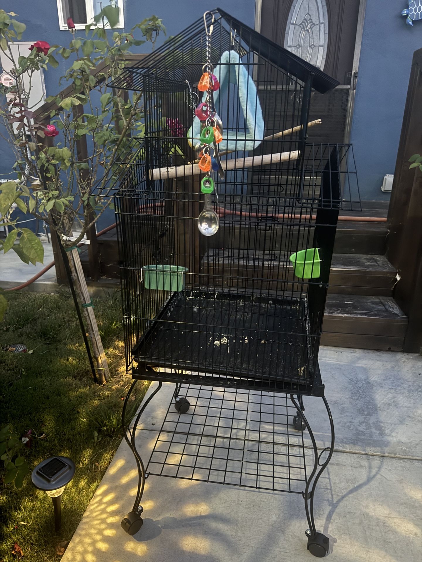 Jaula De Pájaros / Bird Cage