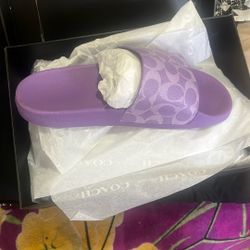 Coach Slides