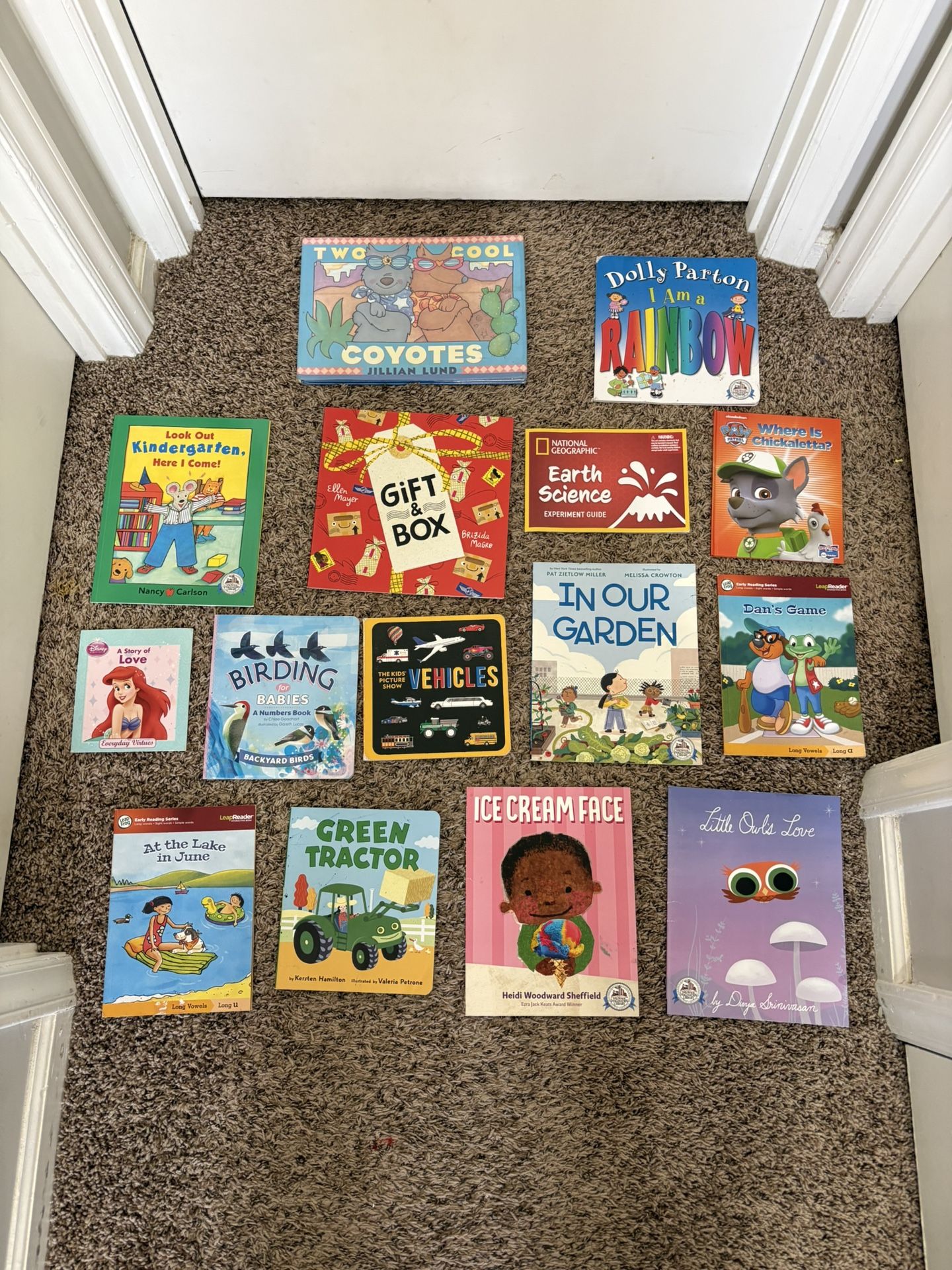 Kids Book Lot
