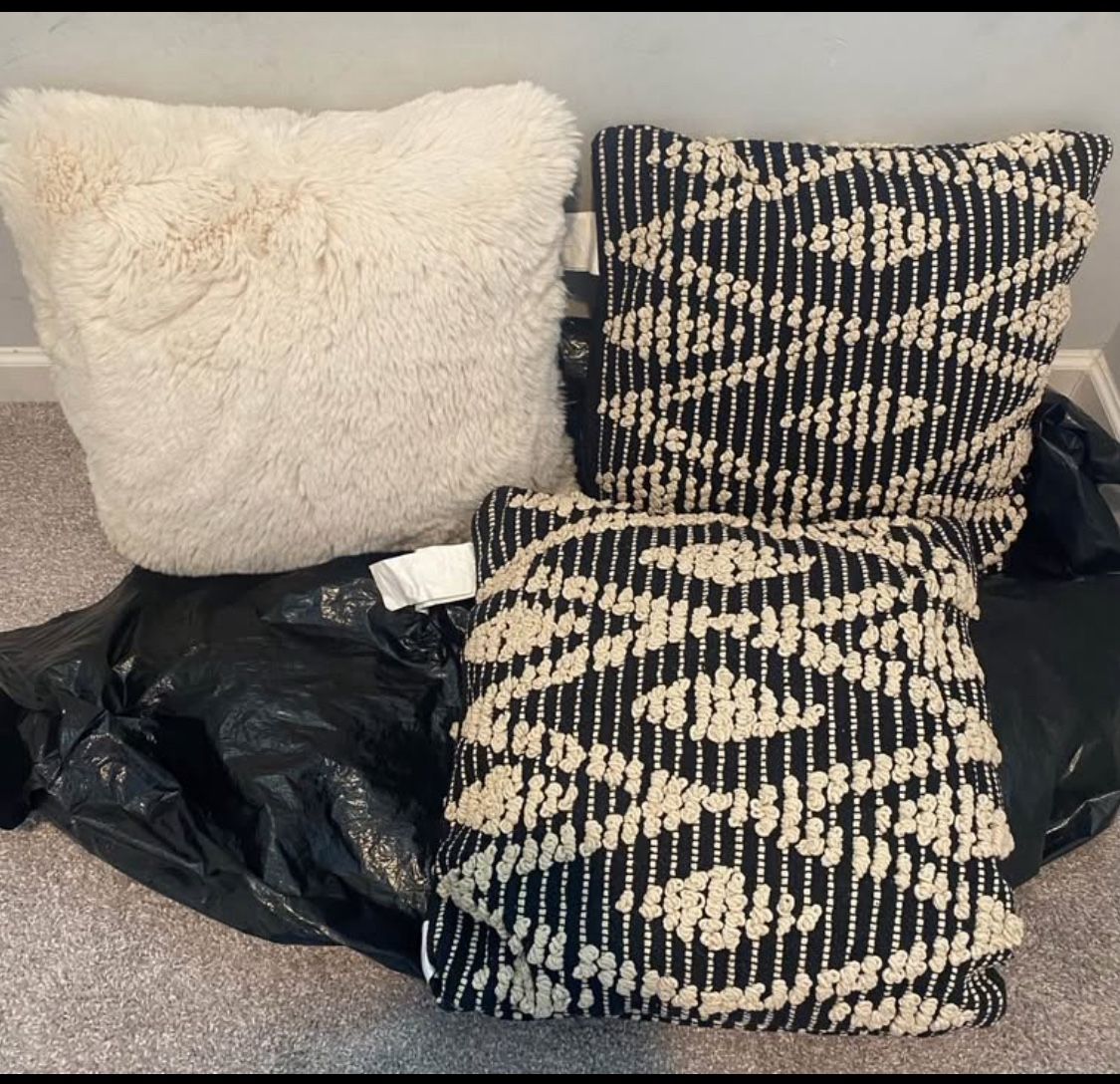 New Throw Pillows 