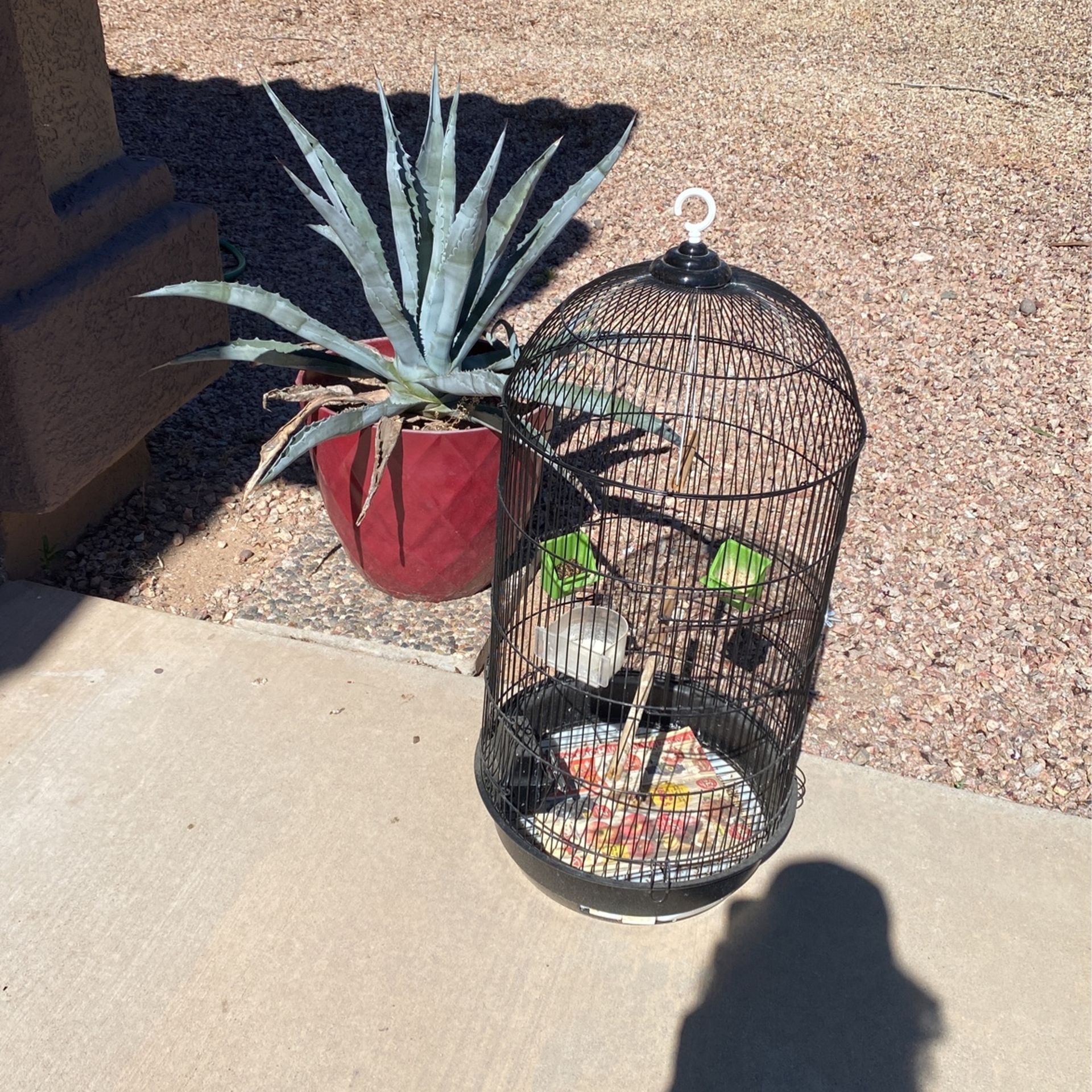 Hanging Bird Cage With Stand