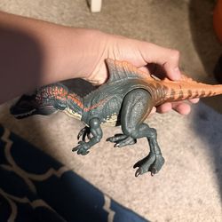 Hammond collection bundle