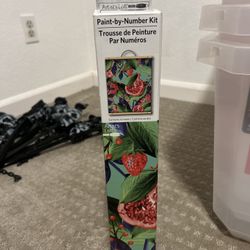 Paint-by-Number Kit